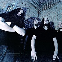wormed-473171-w200.jpg