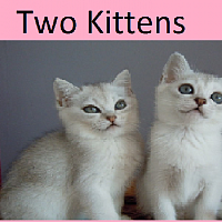 two-kittens-478849-w200.jpg